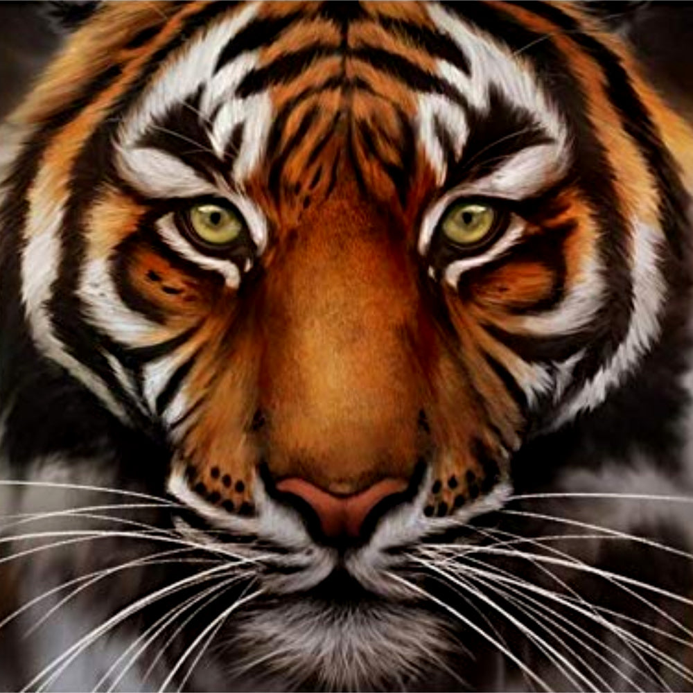 La Puissance de l'oeil de Tigre...